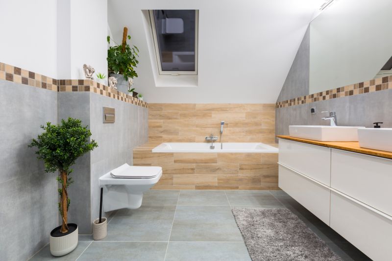 Bathroom Modification detail